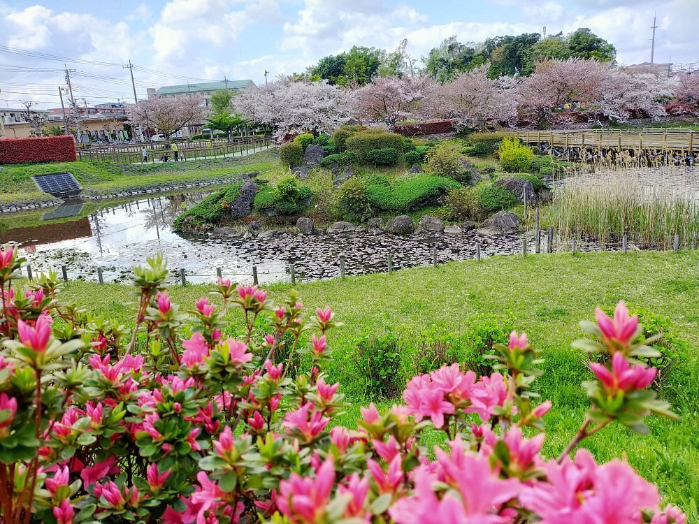🌸 이누마카타 공원 (이누마카타 코엔) 이미지 7